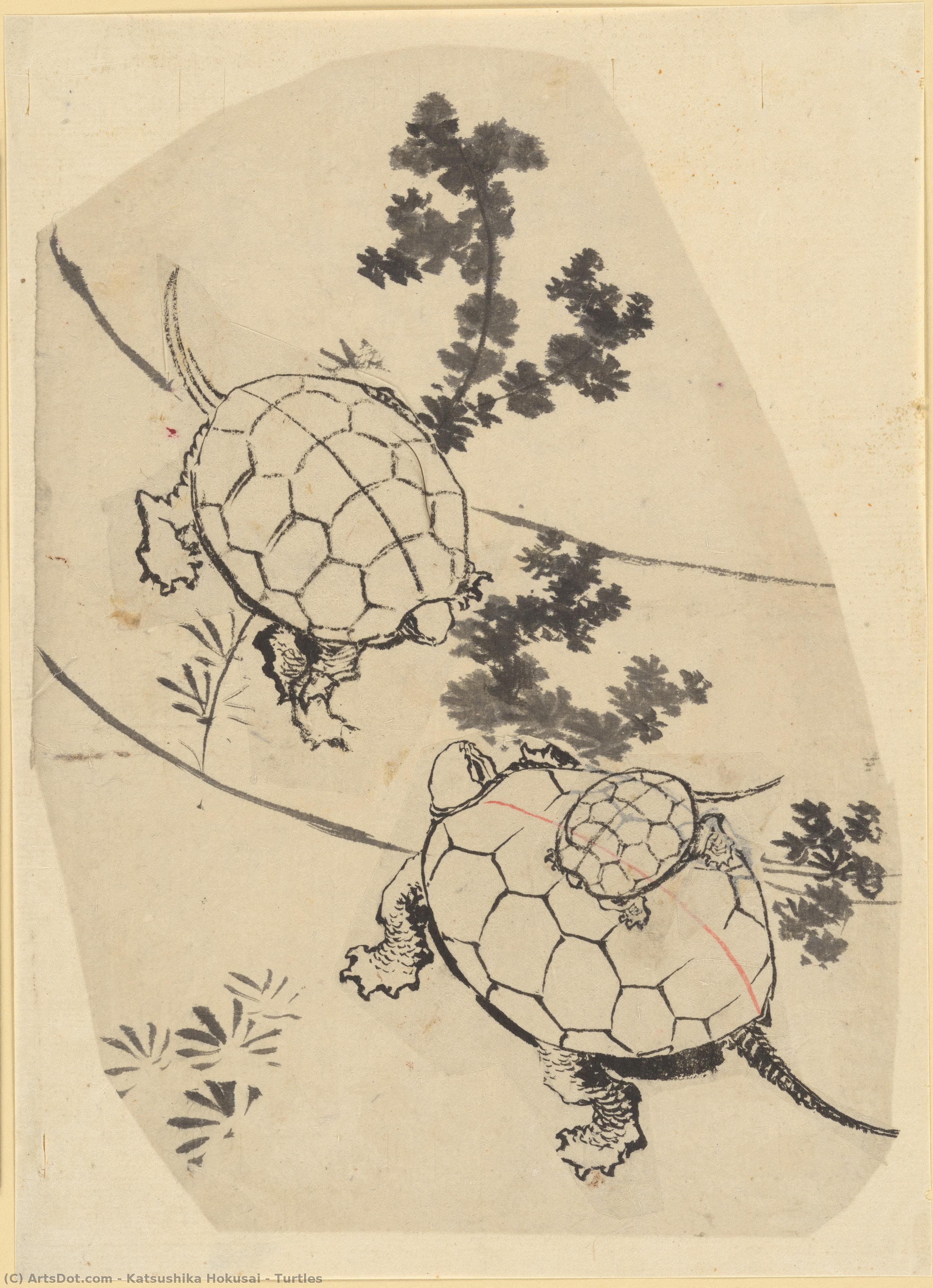 Turtles — Katsushika Hokusai