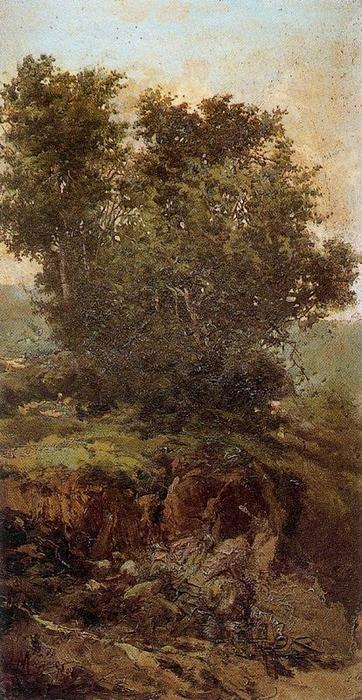 Landscape With Trees — Ovidio Murguía De Castro