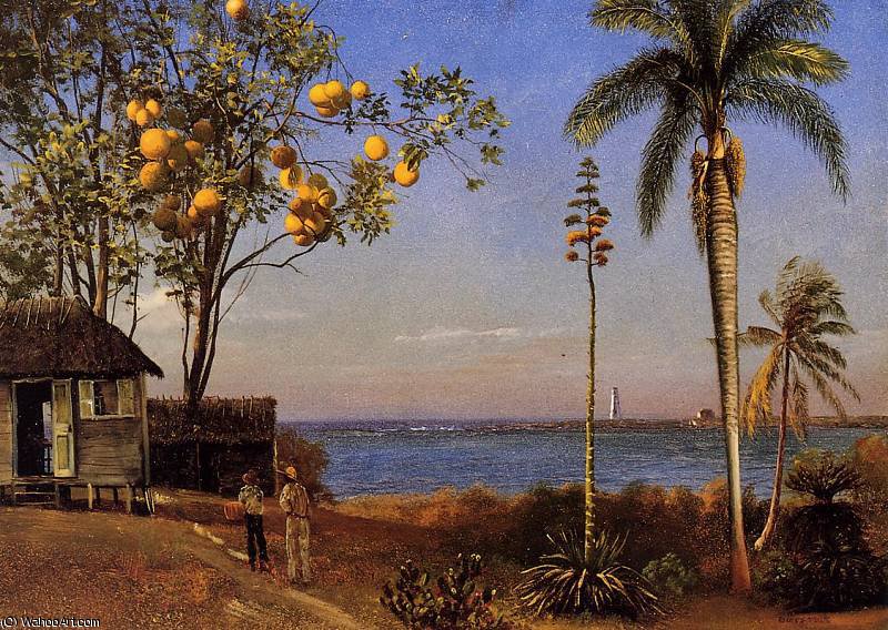 A View In The Bahamas — Albert Bierstadt