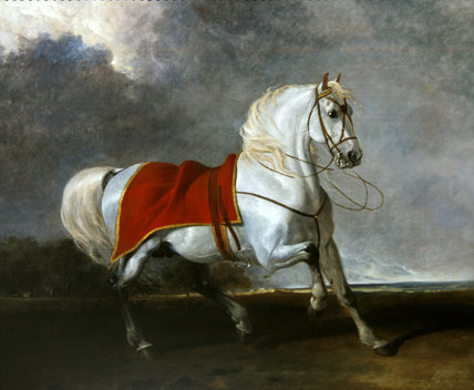 Saddled Grey Charger Frightened — Abraham Cooper