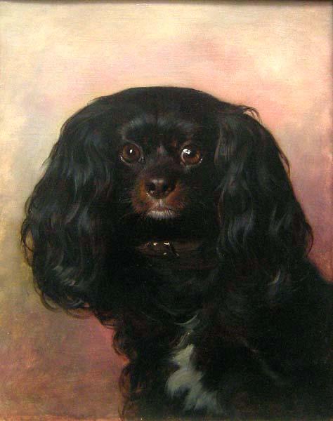 Portrait Of A Favorite Dog — Friedrich Ritter Von Amerling