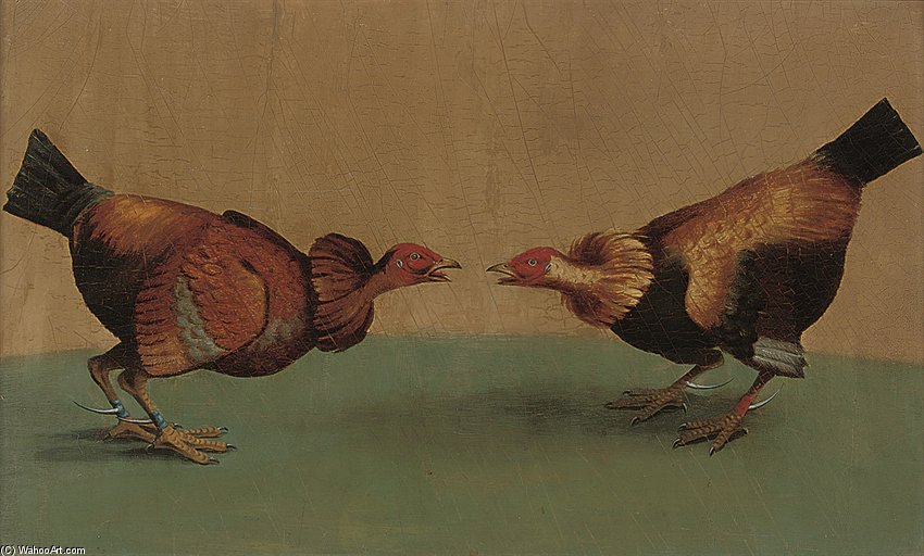 Fighting Cocks — Edwin Cooper