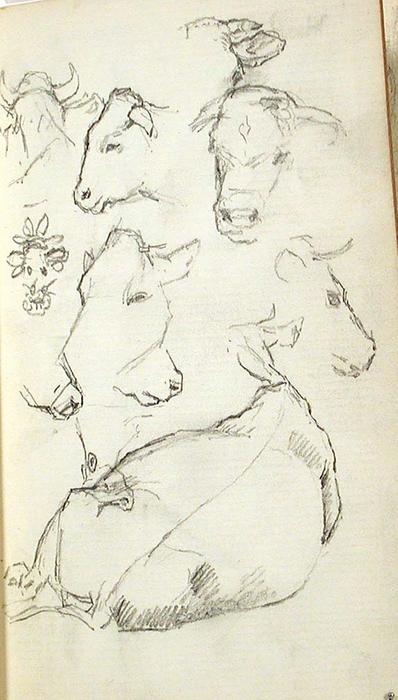 Cows — John Ottis Adams