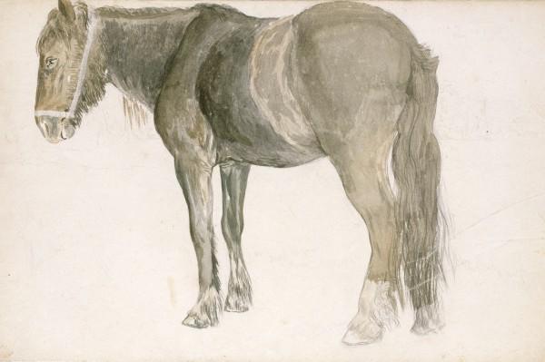 A Farm Horse — John Frederick Lewis