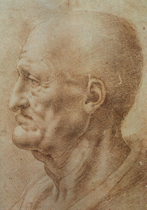 Study Of An Old Man's Profile — Leonardo Da Vinci