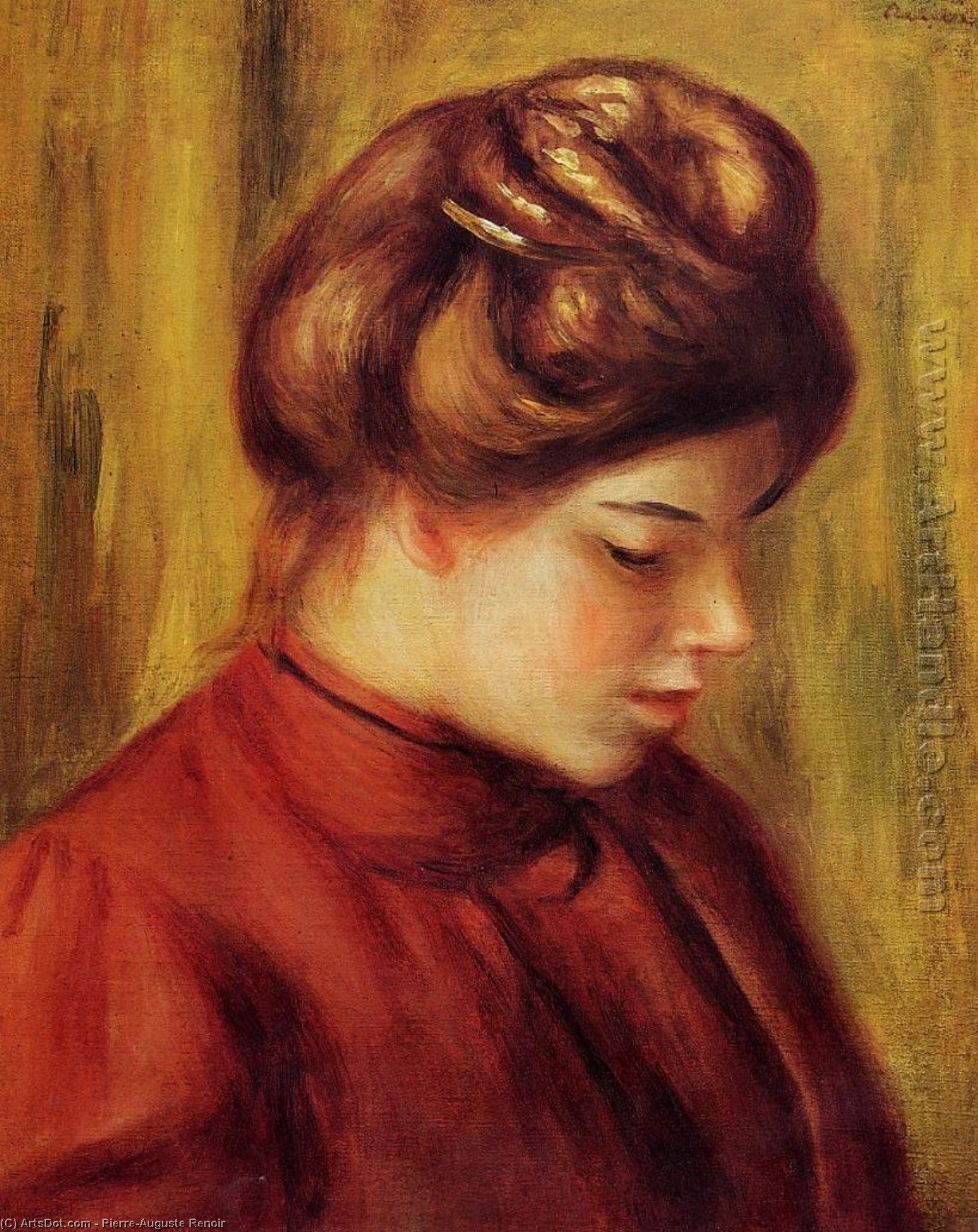 Profile Of A Woman In A Red Blouse — Pierre-auguste Renoir