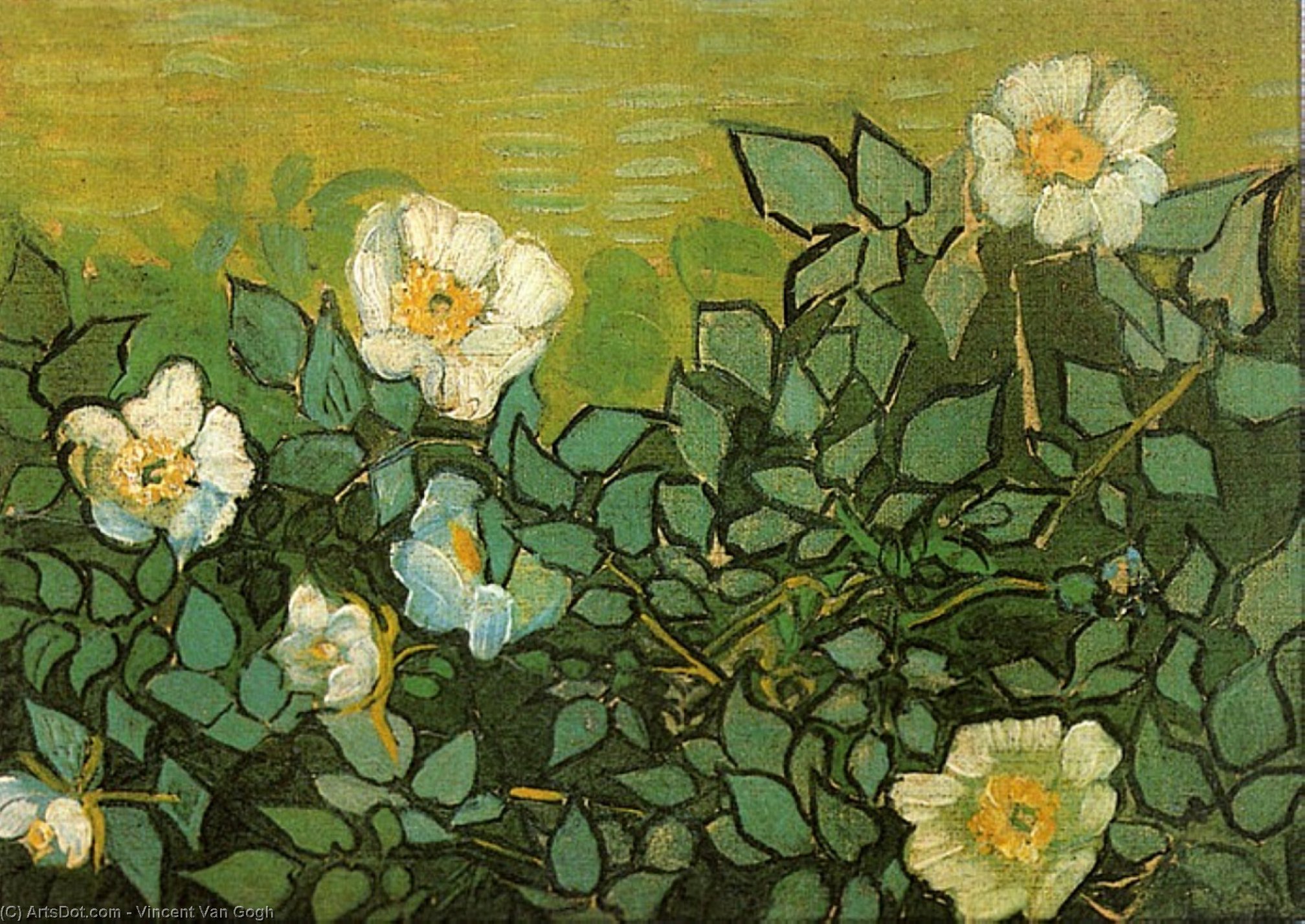 Wild Roses — Vincent Willem Van Gogh