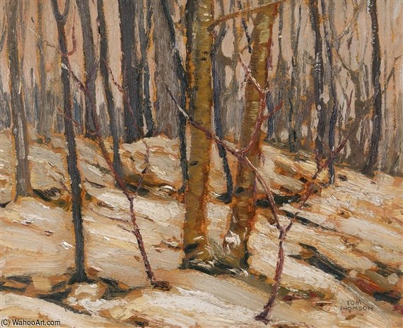 Winter Sunset, Algonquin Park — Thomas Thompson