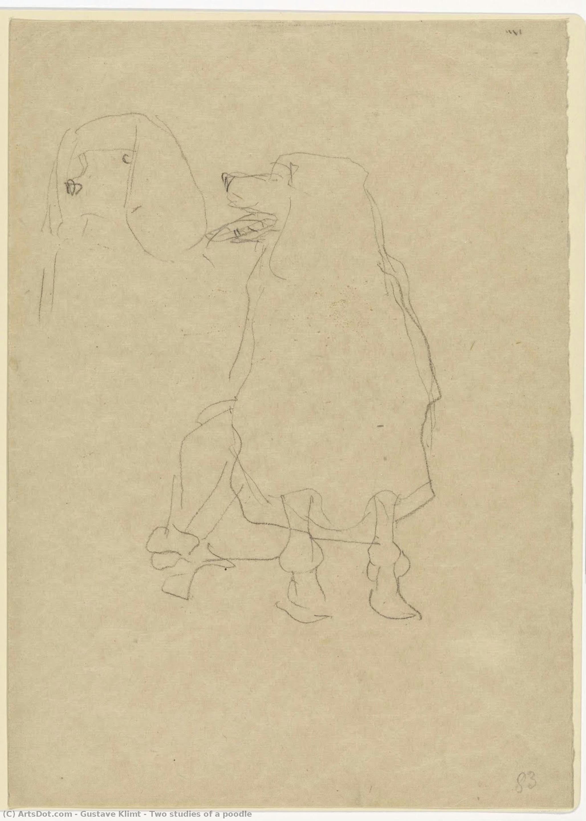 Two Studies Of A Poodle — Gustav Klimt