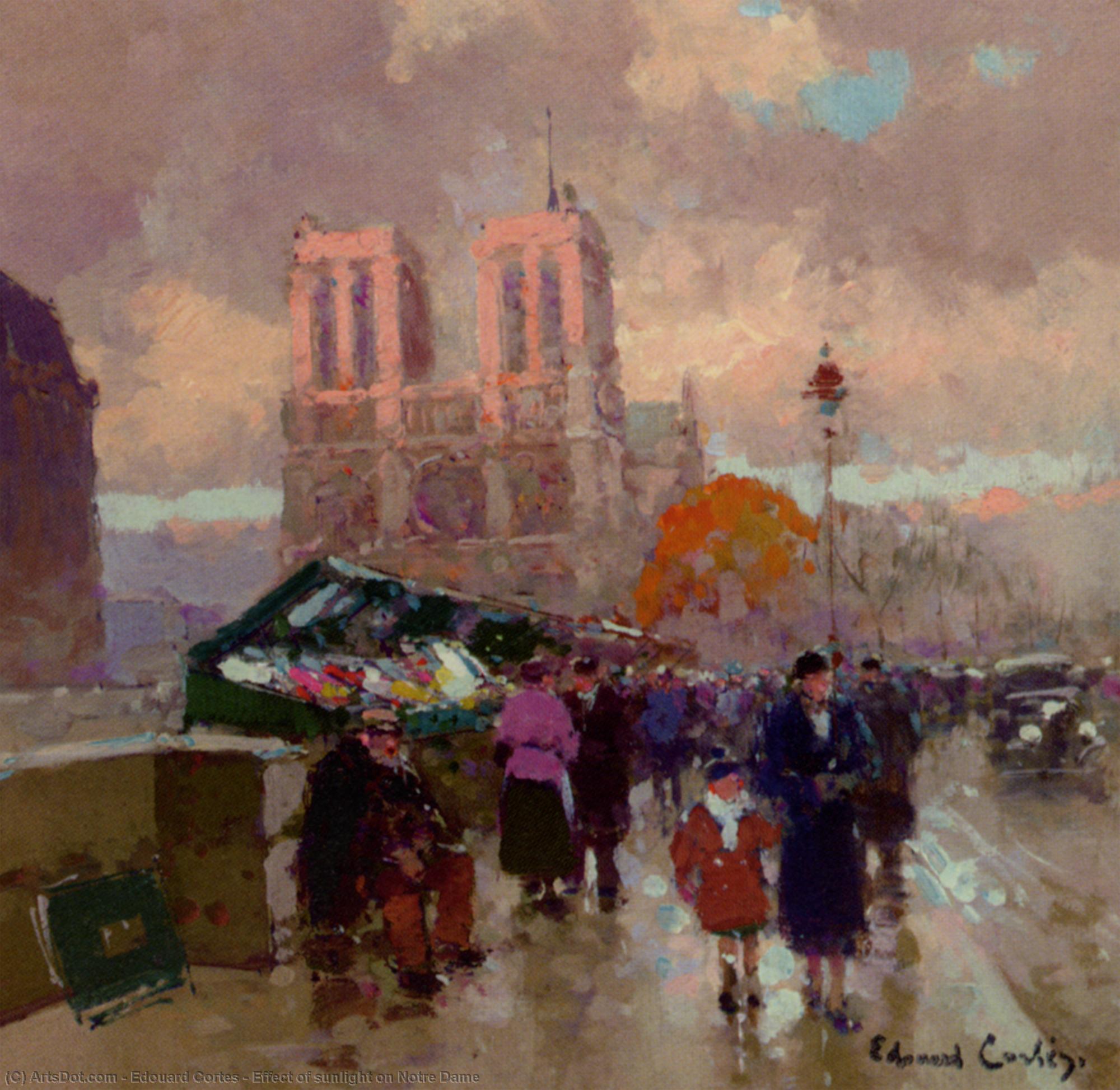 Effect Of Sunlight On Notre Dame — Edouard Cortès