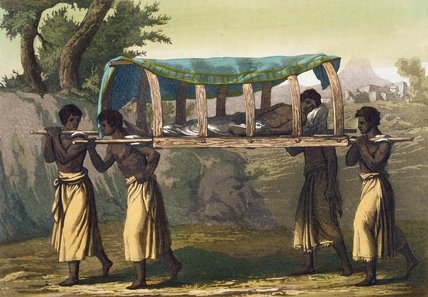 Rich Native Of The Congo Carried — Gallo Gallina