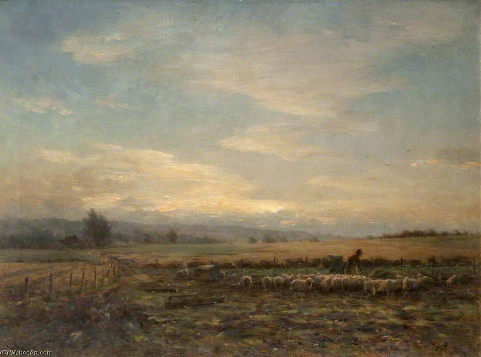 Sheep Folded On Turnips — William Darling Mckay