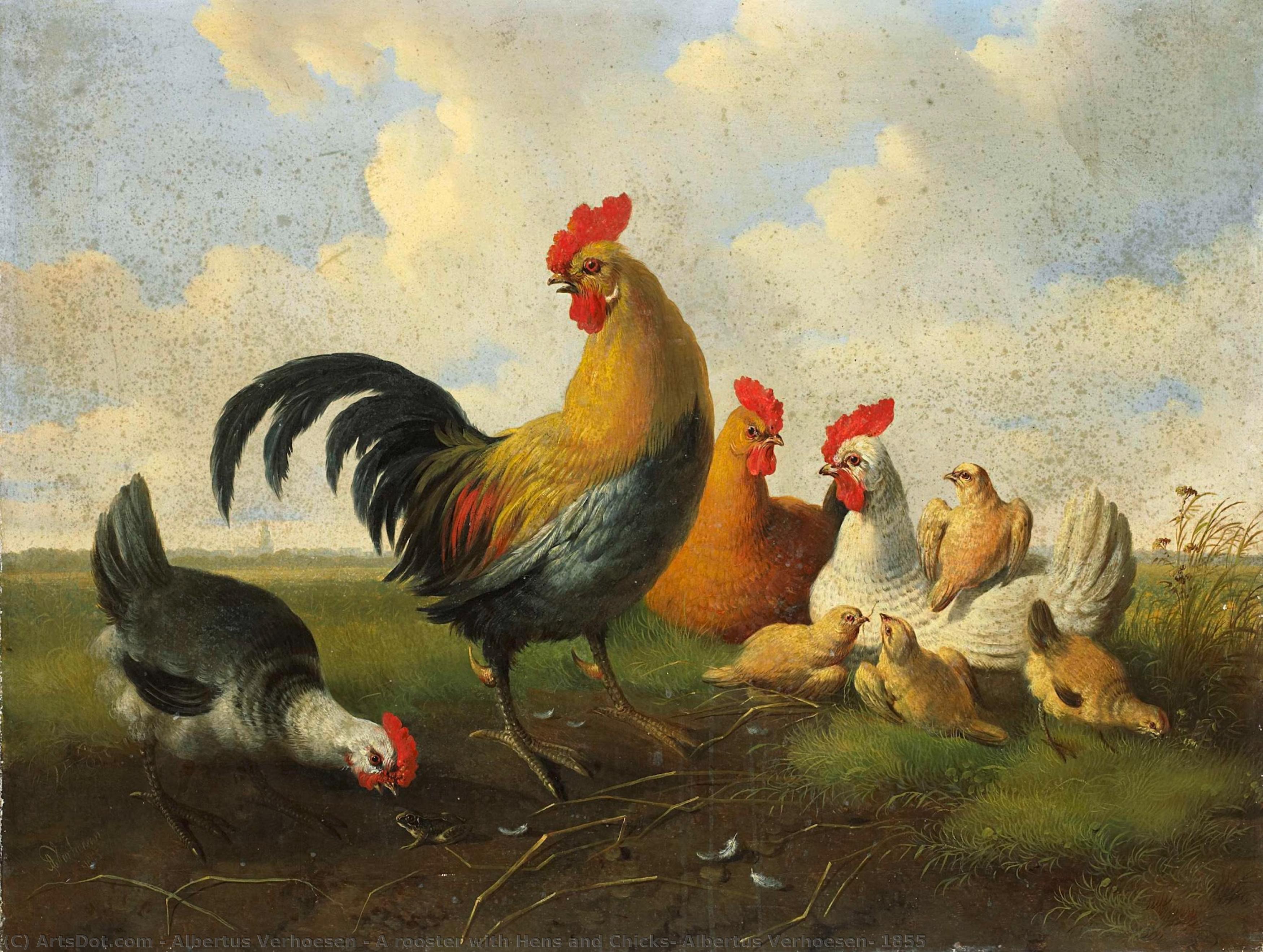 A Rooster With Hens And Chicks, Albertus Verhoesen, 1855 — Albertus Verhoesen