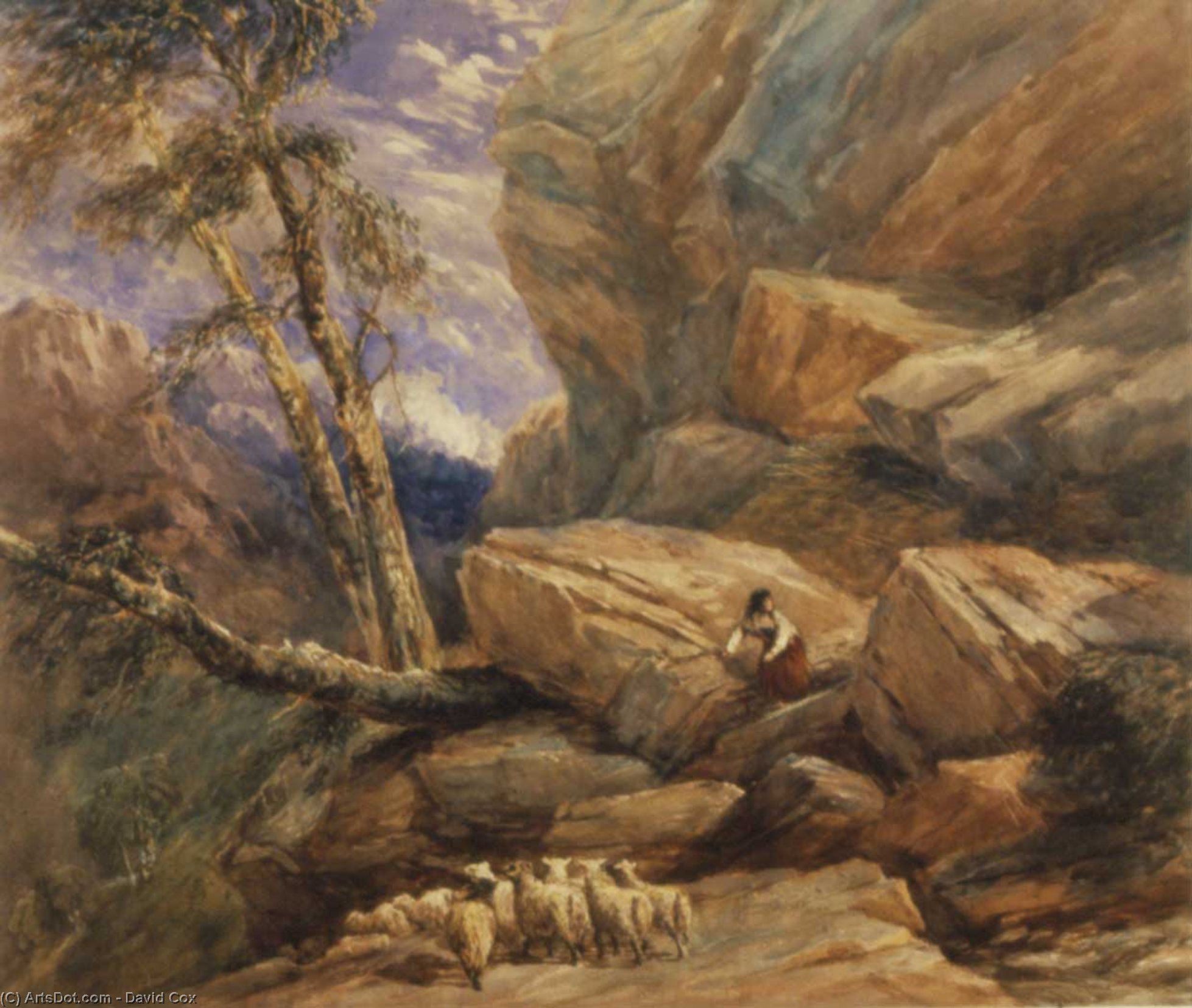 The Missing Flock — David Cox