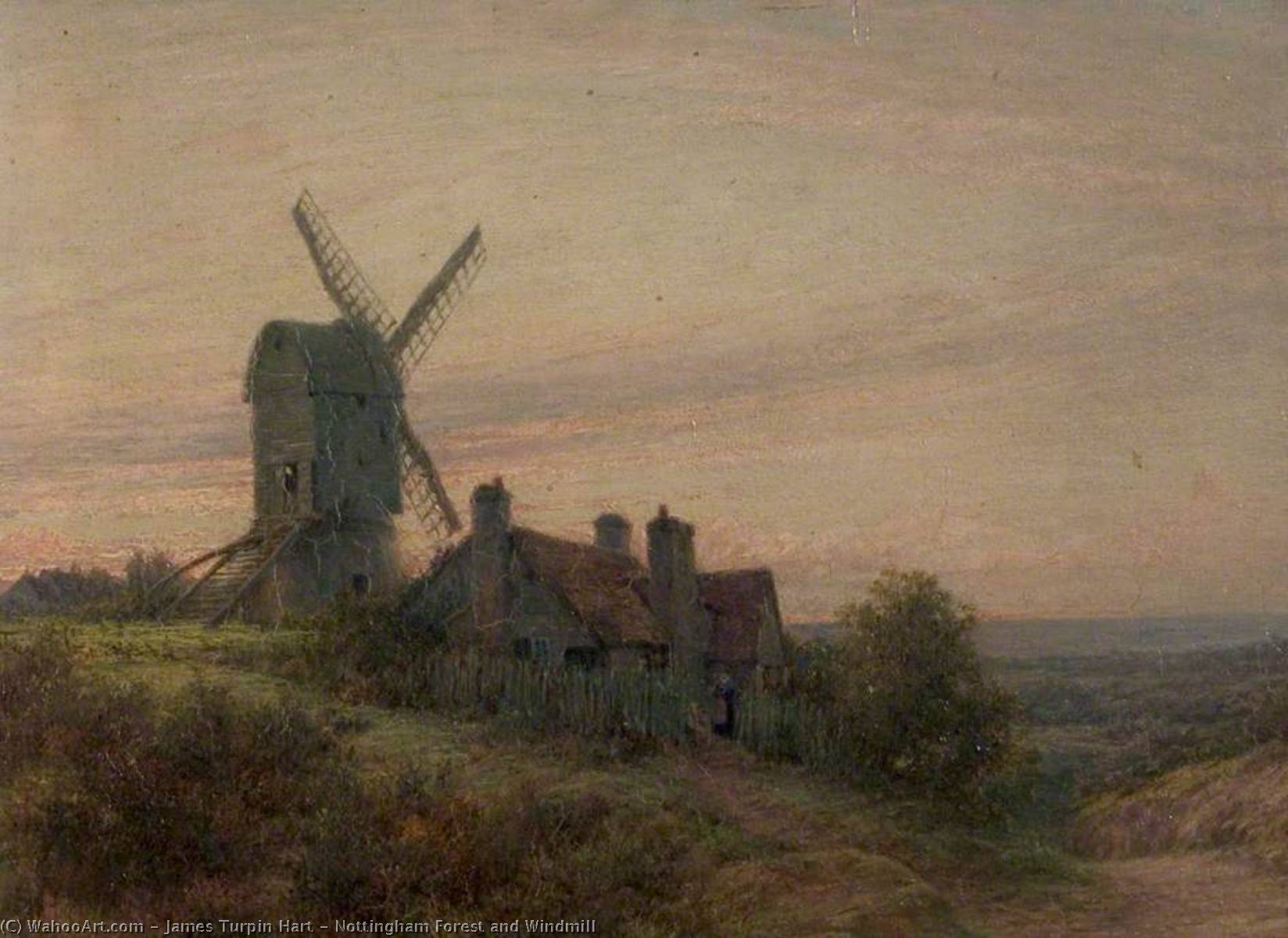 Nottingham Forest And Windmill — James Turpin Hart