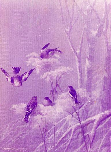 My Bird Painting, (painting) — Katherine Beatrice Mcnaughton Mowry