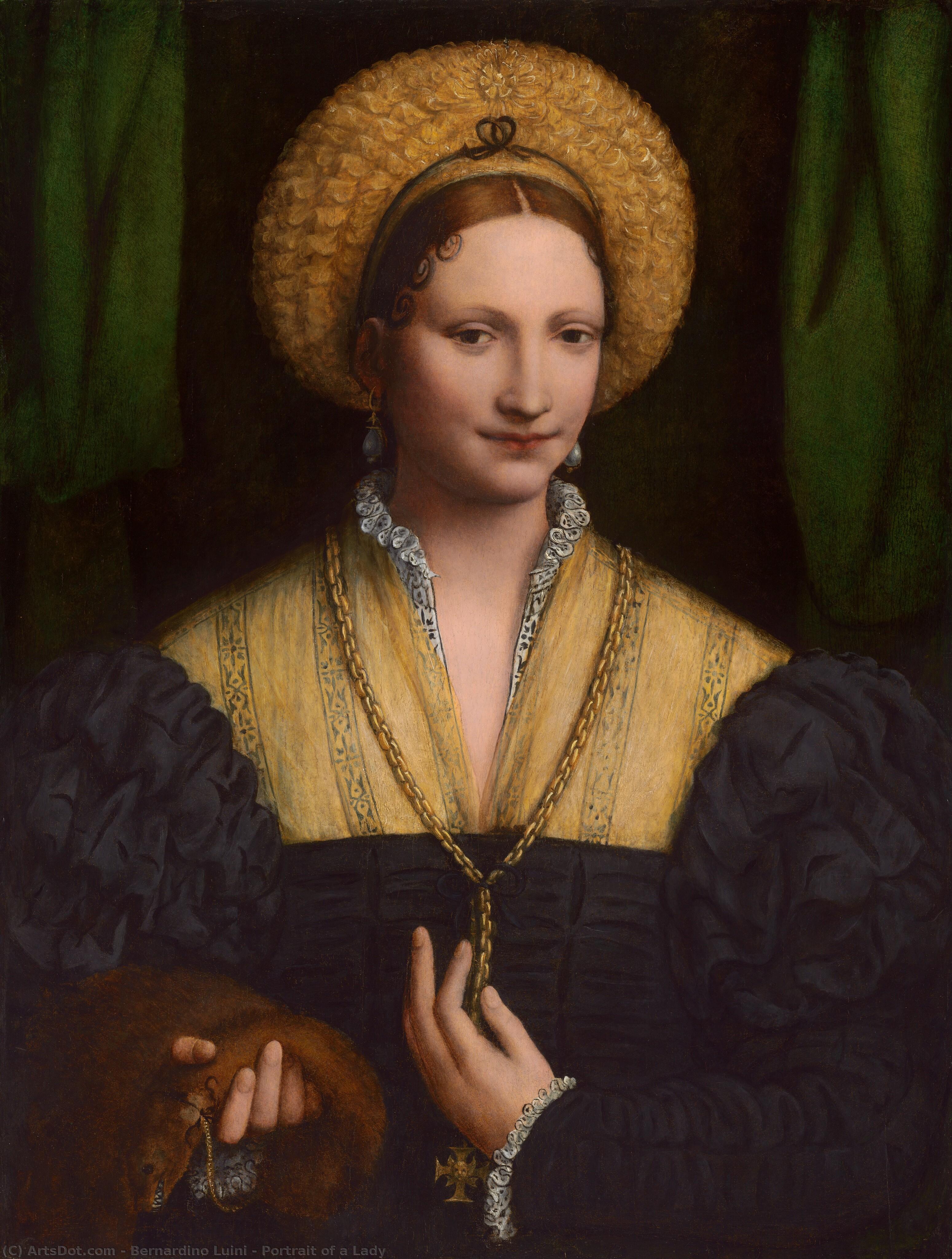 Portrait Of A Lady — Bernardino Luini