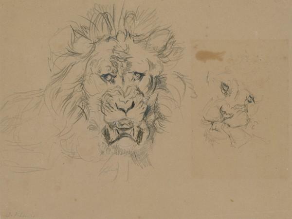 Two Studies Of The Head Of A Lion — John Frederick Lewis