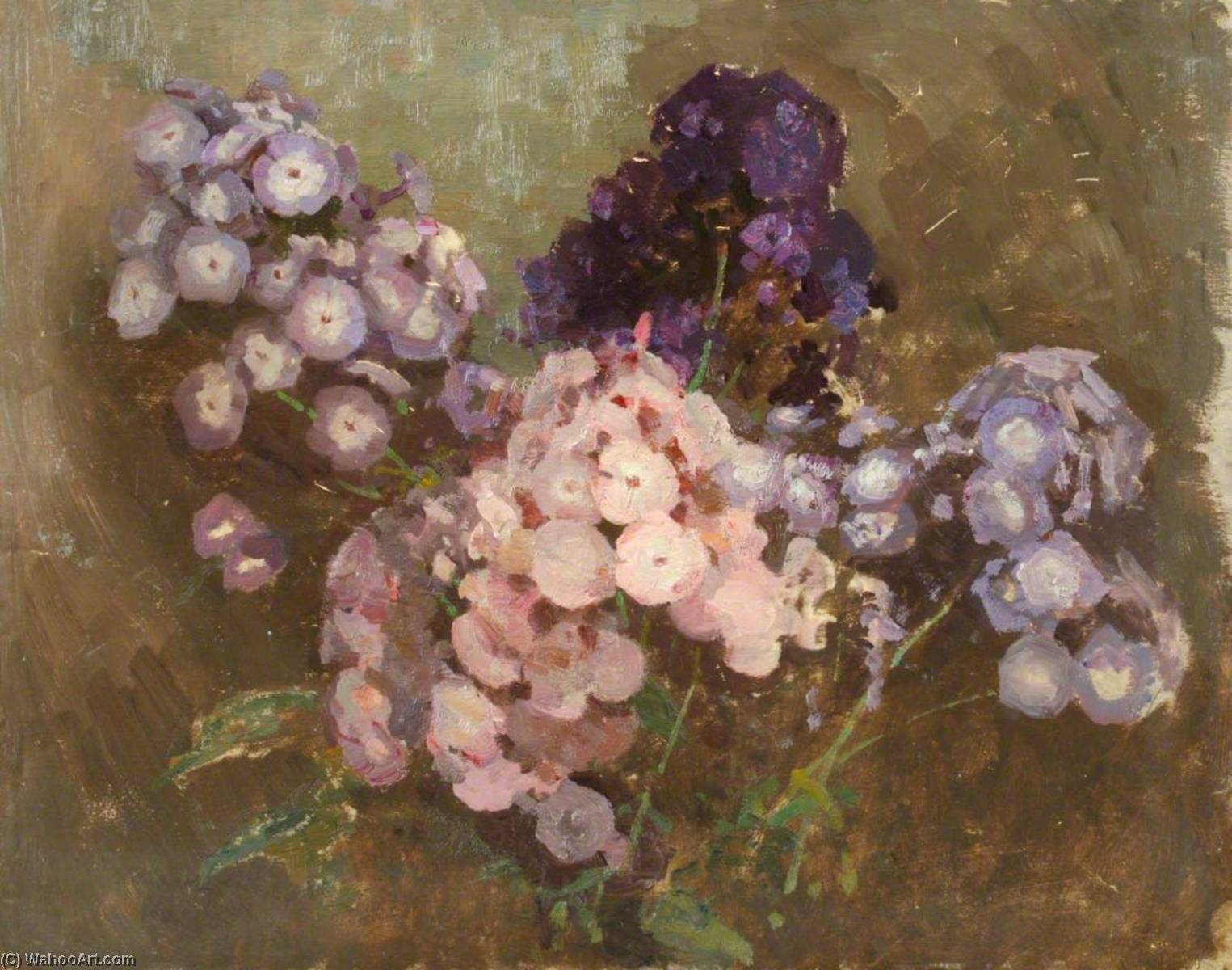 Hydrangeas — Benjamin Haughton