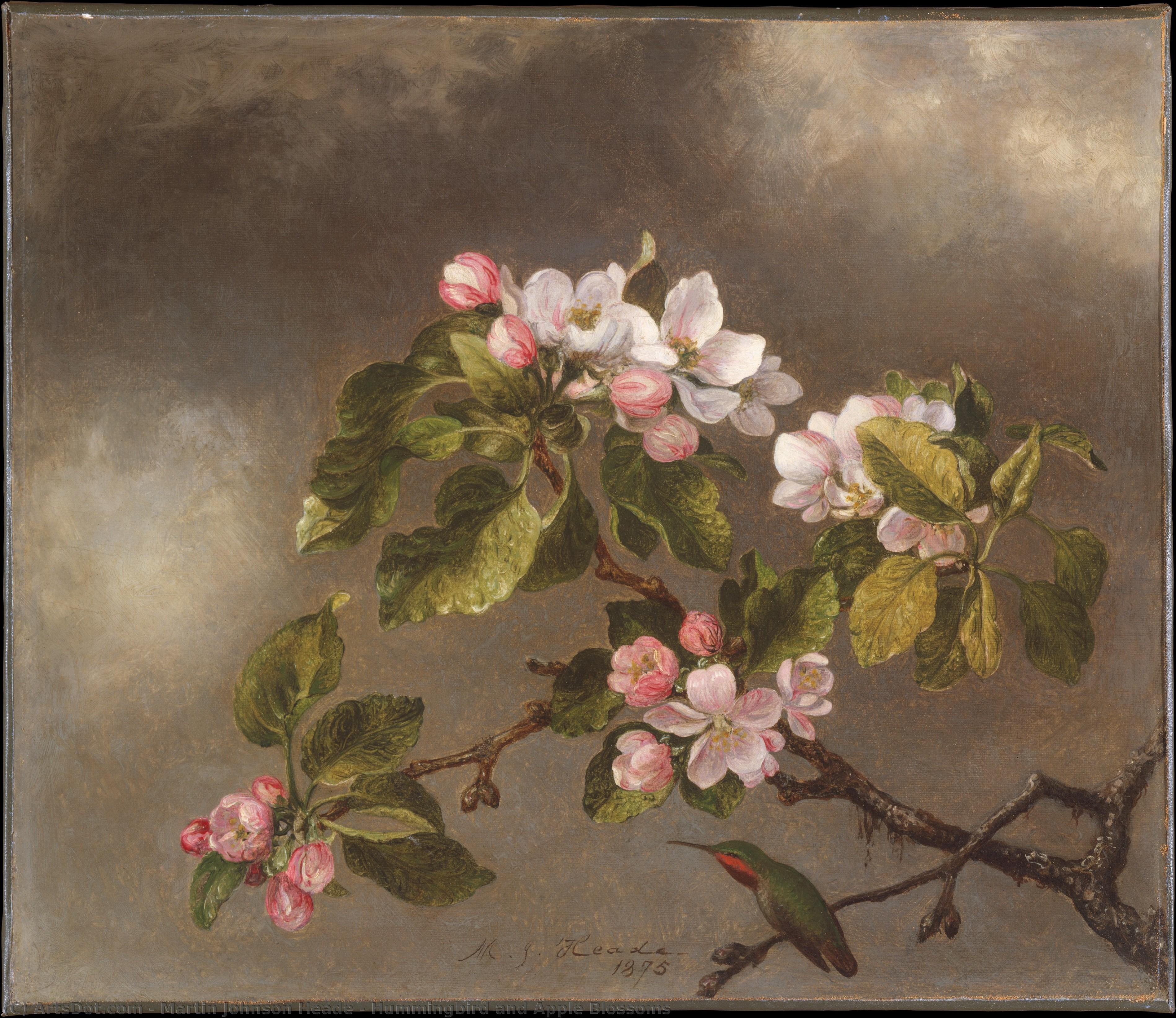 Hummingbird And Apple Blossoms — Martin Johnson Heade