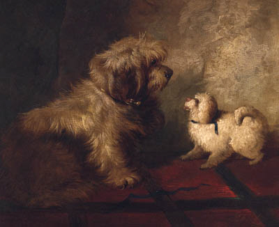 Confrontation — George Armfield (smith)
