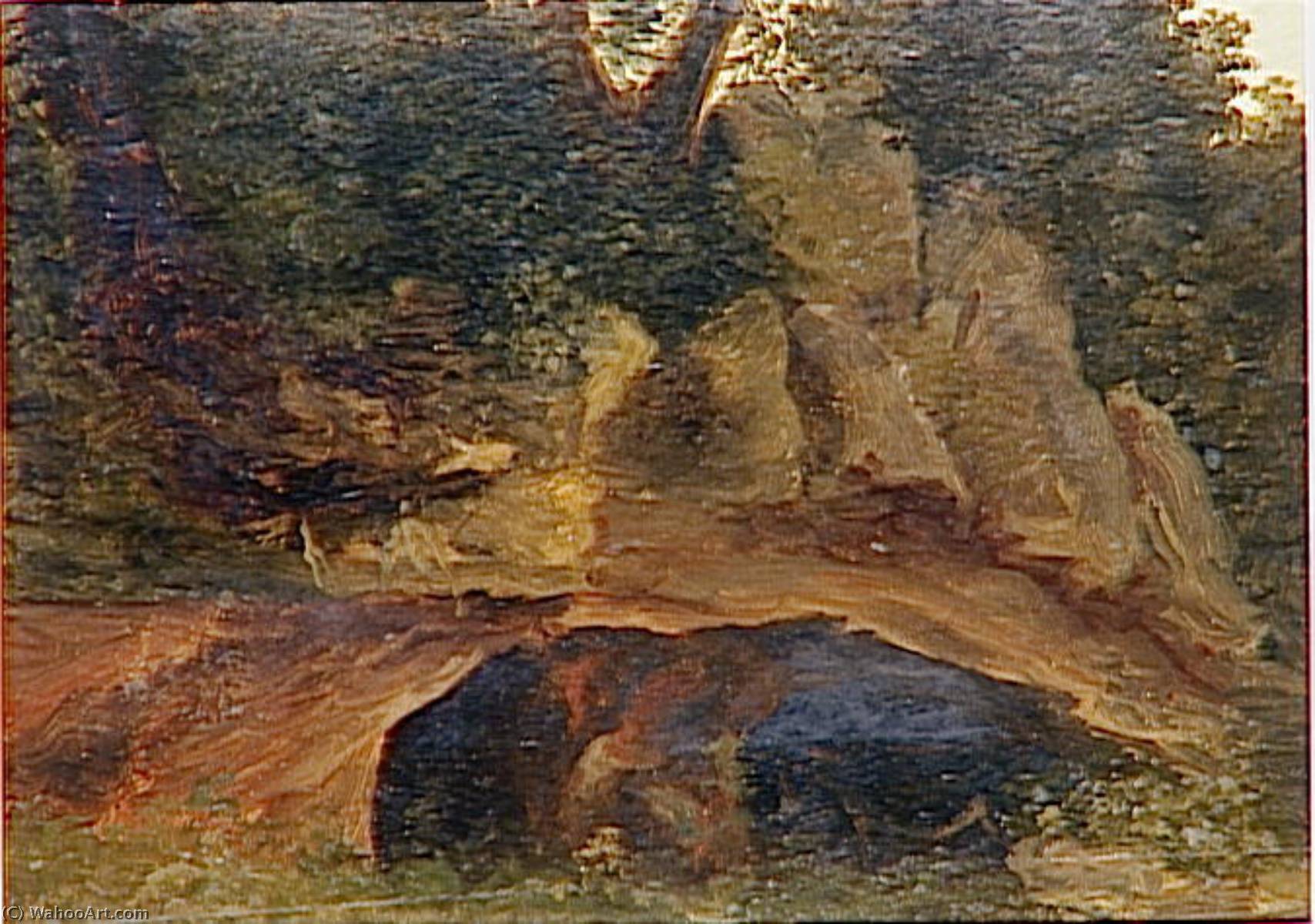 Rochers Dans Un Sous Bois — Pierre De Valenciennes