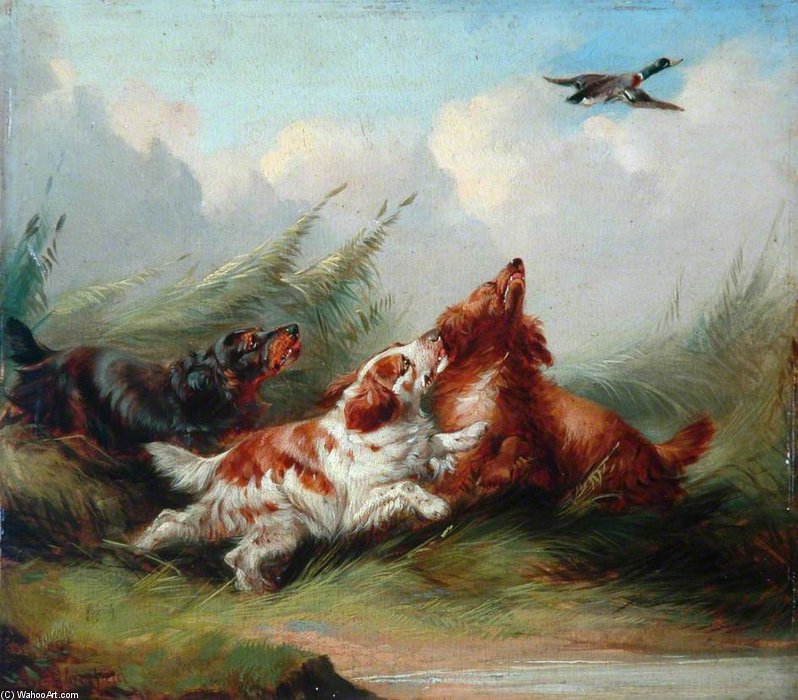 Three Spaniels And A Flying Mallard — George Armfield (smith)