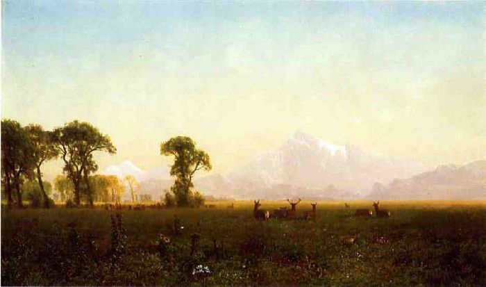 Deer Grazing, Grand Tetons, Wyoming — Albert Bierstadt