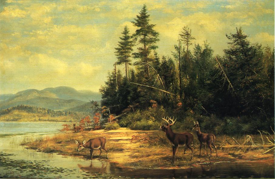 View On Long Lake — Arthur Fitzwilliam Tait