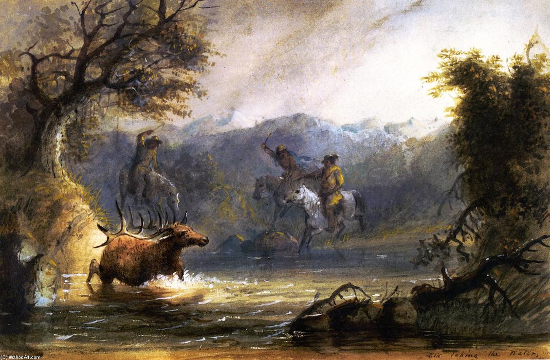 Elk Taking The Water — Alfred Jacob Miller