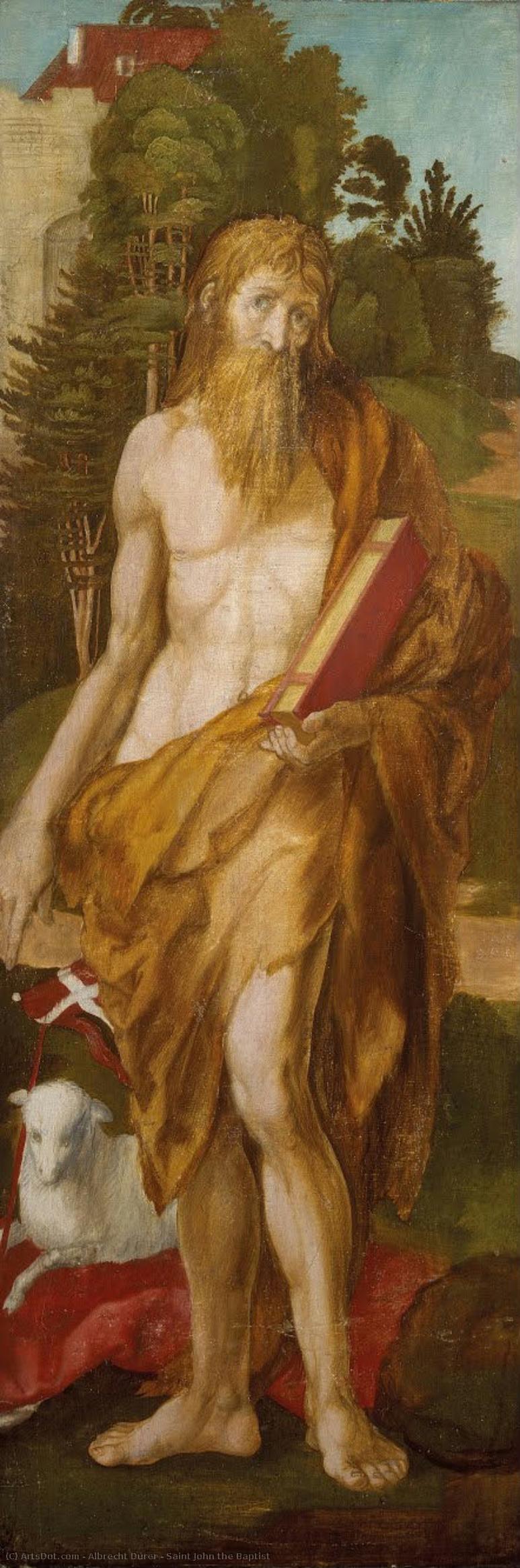 Saint John The Baptist — Albrecht Dürer