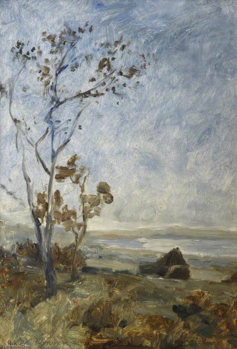 Sketch For A Landscape Picture — Alexander Kellock Brown