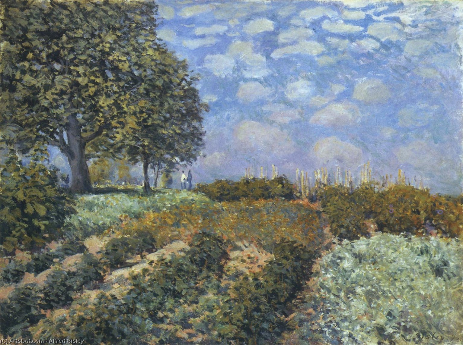 The Fields — Alfred Sisley