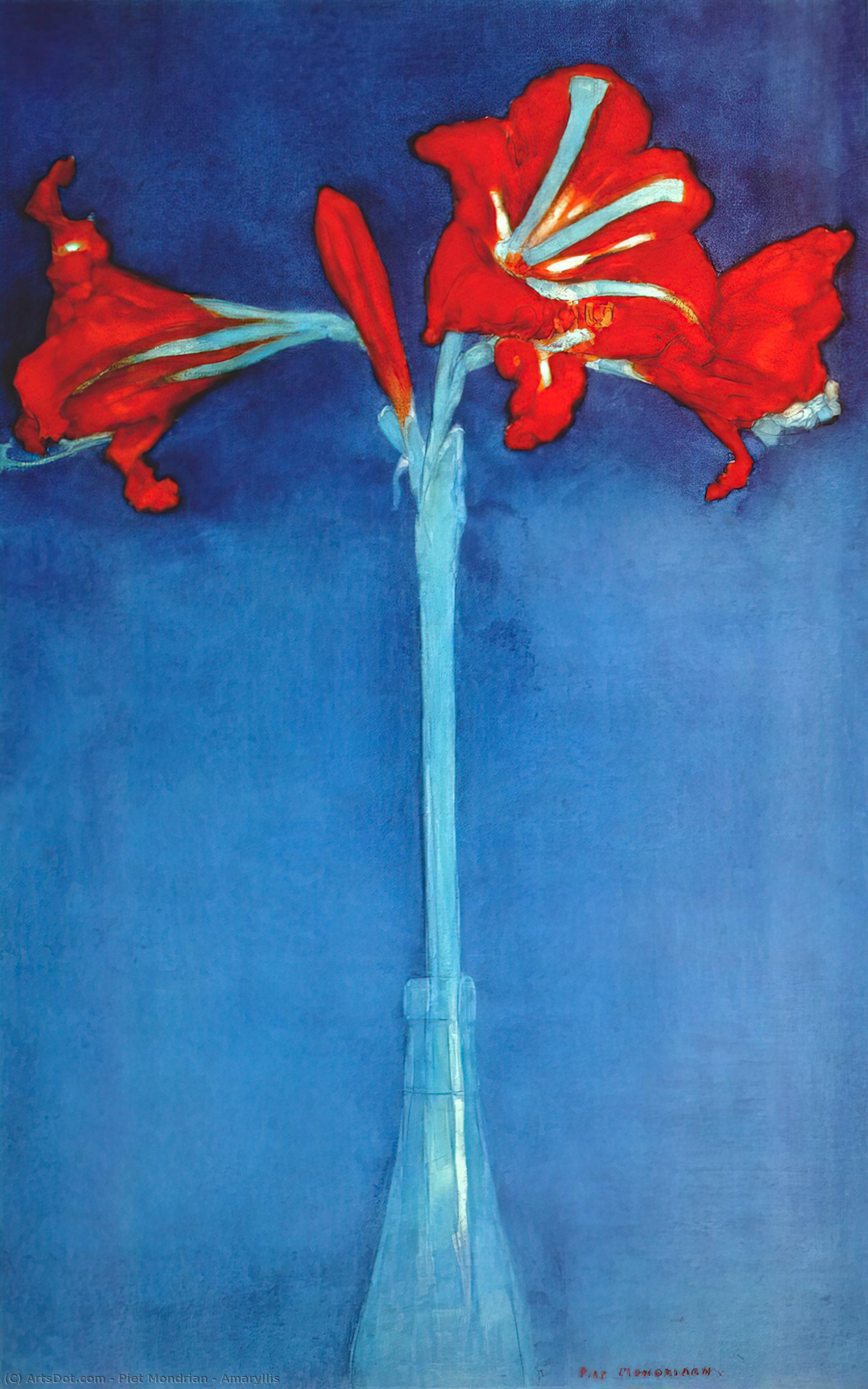 Amaryllis — Piet Mondrian
