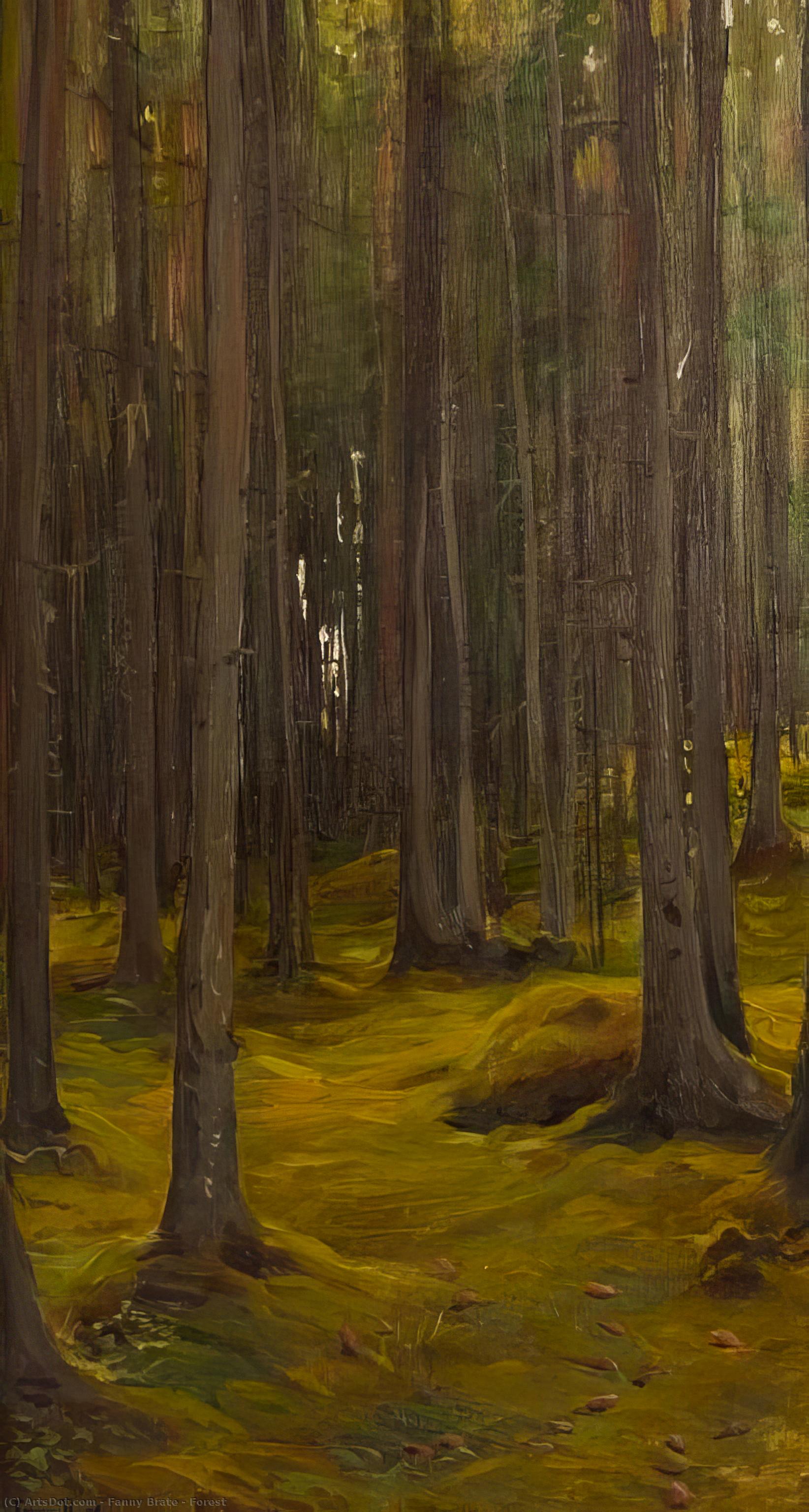 Forest — Fanny Brate
