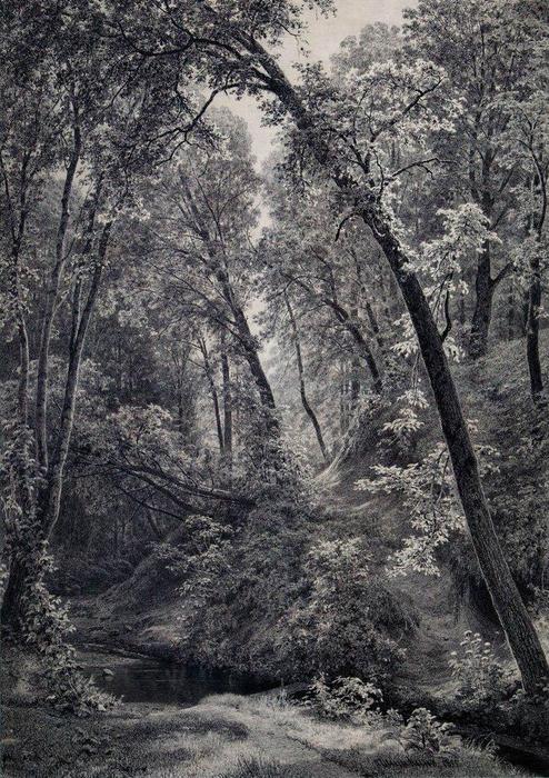 En Un Arroyo — Ivan Ivanovich Shishkin