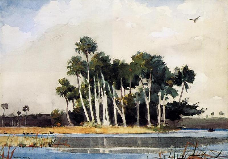 The Turkey Buzzard — Winslow Homer