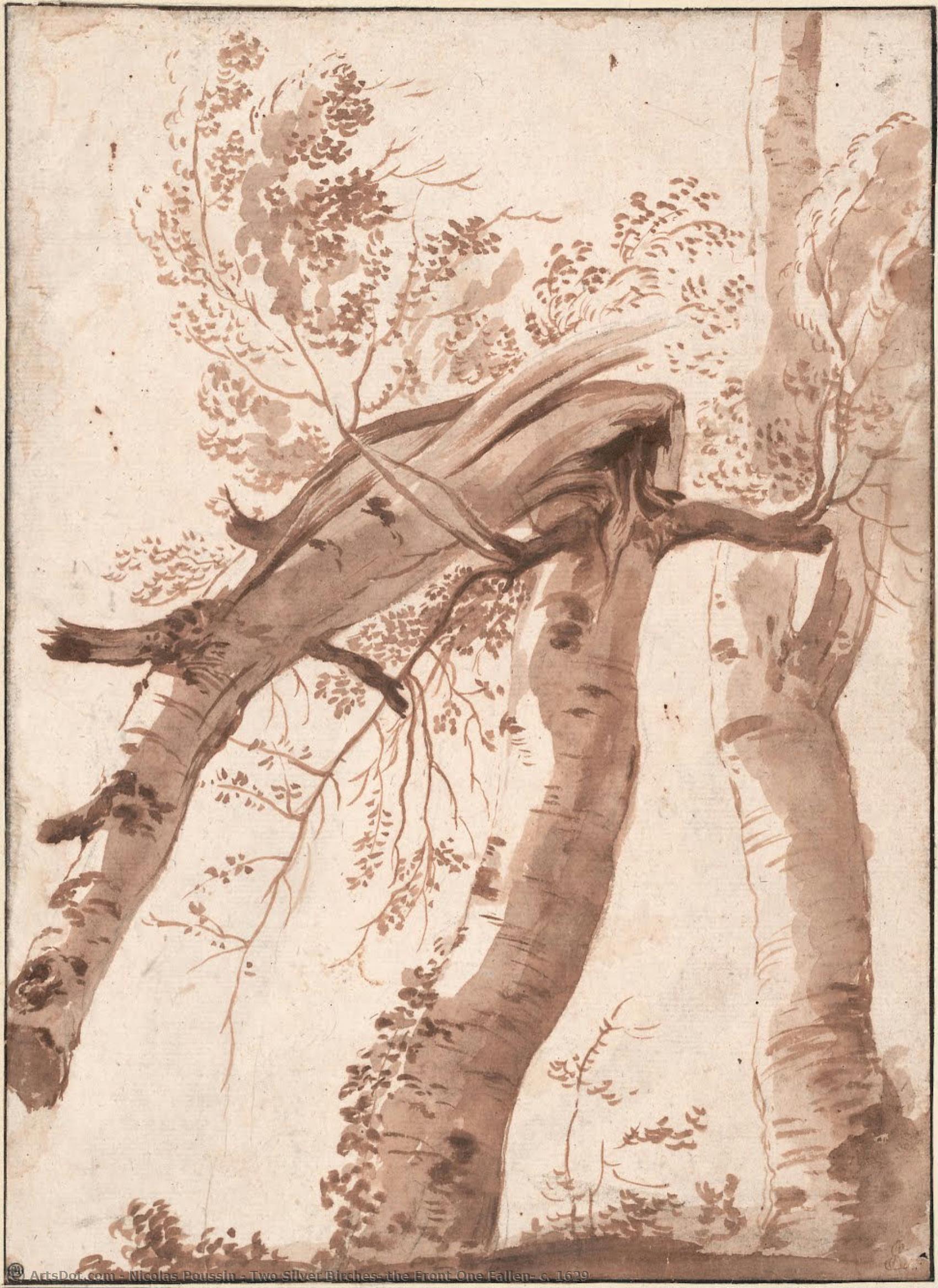 Zwei Silberbirken, Die Eine Umgestürzt Sind, Ca. 1629 — Nikolaus Poussin