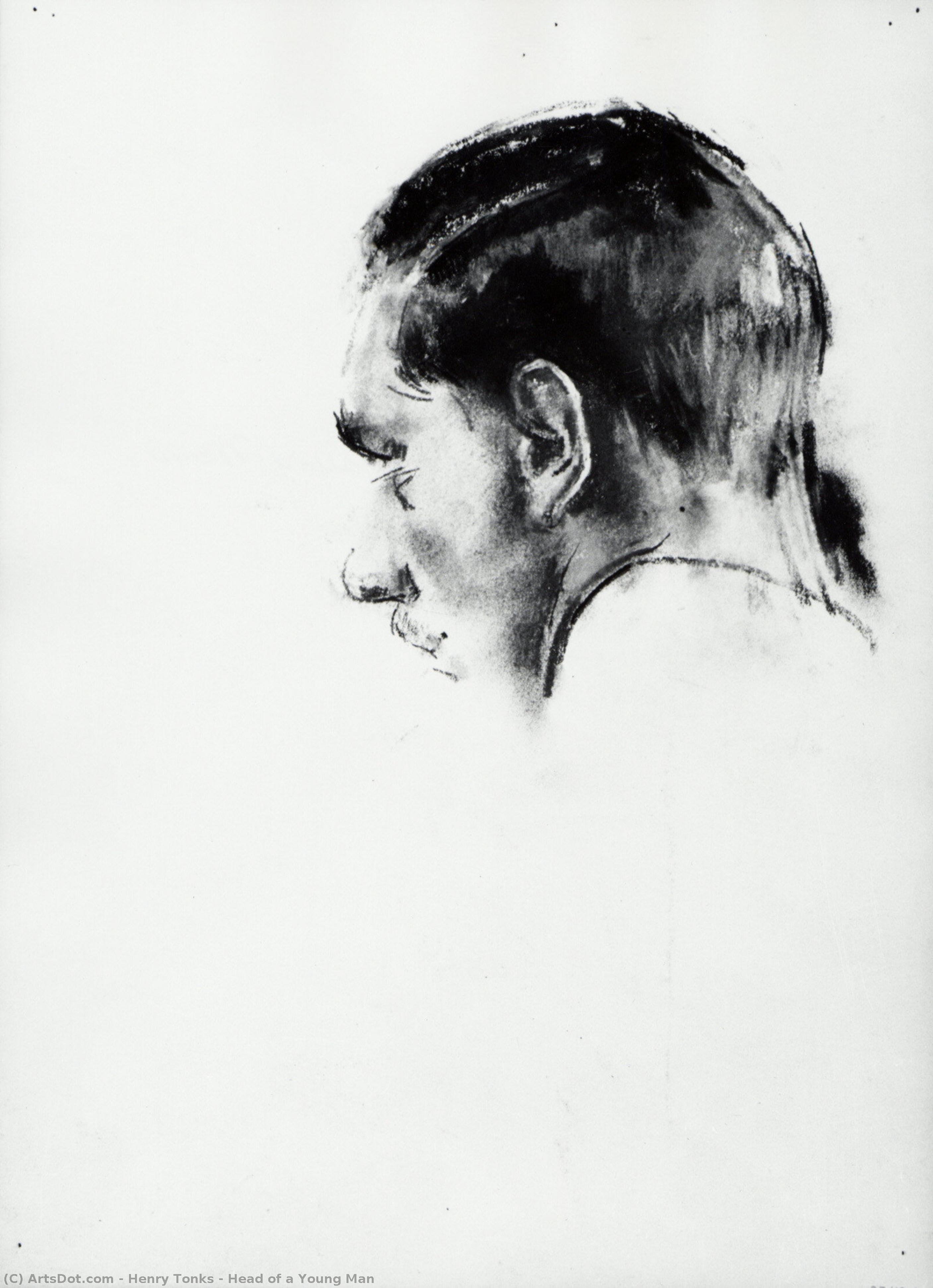 Head Of A Young Man — Henry Tonks