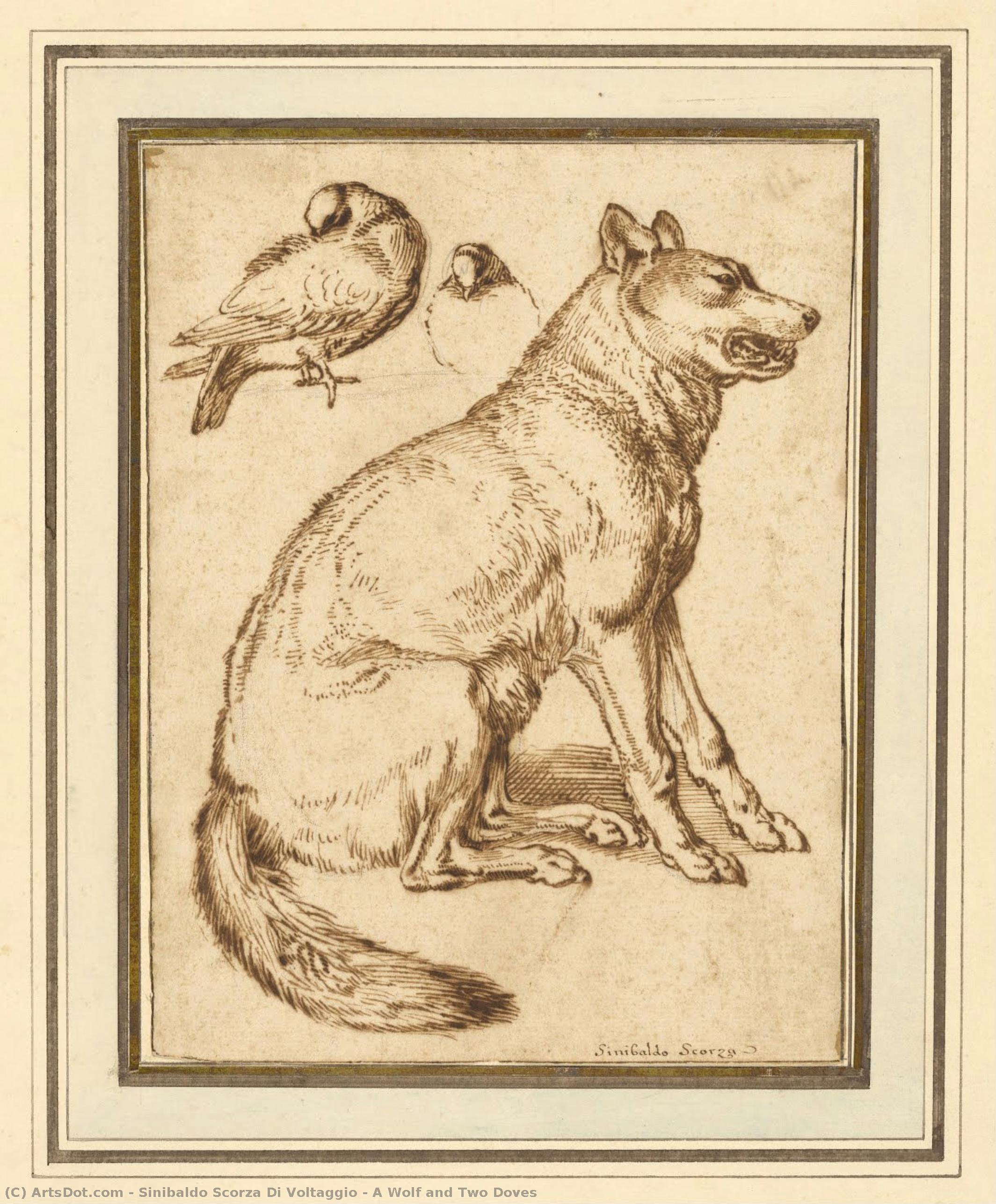 A Wolf And Two Doves — Sinibaldo Scorza Di Voltaggio