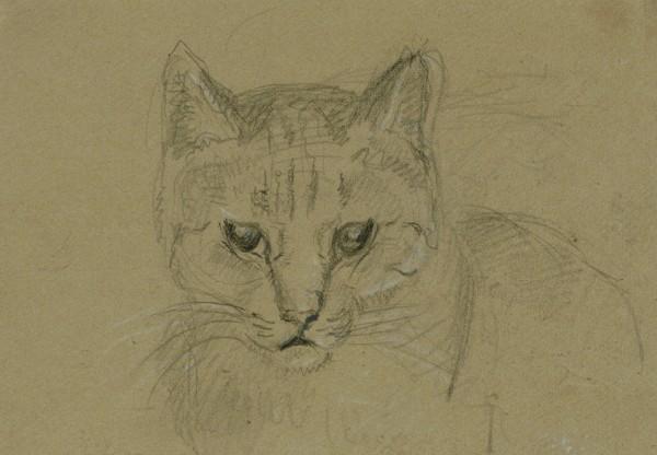 Head Of A Cat — John Frederick Lewis