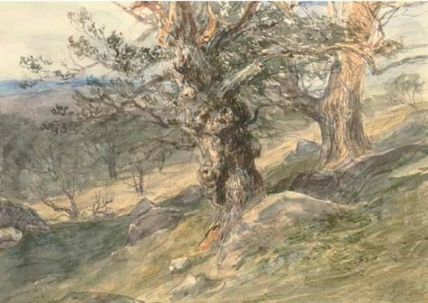Gnarled Oaks In Bolton Park, Yorkshire — David Cox