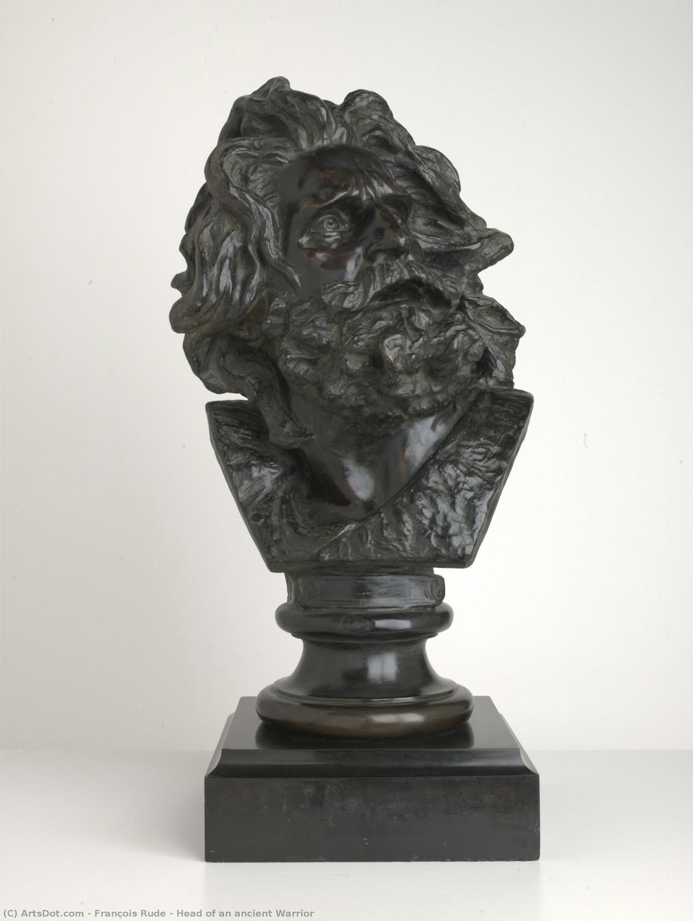 Head Of An Ancient Warrior — François Rude