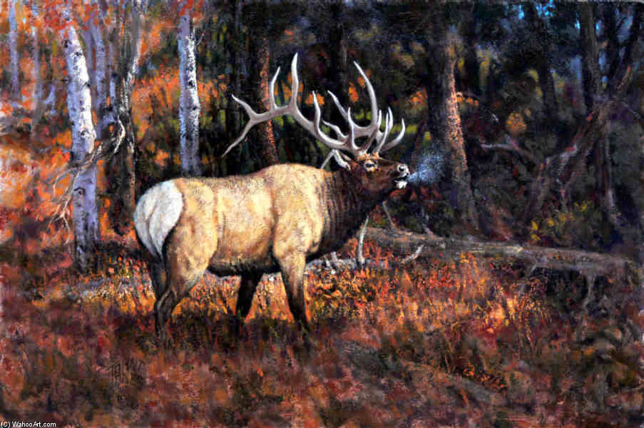 Fall Music — John Jones