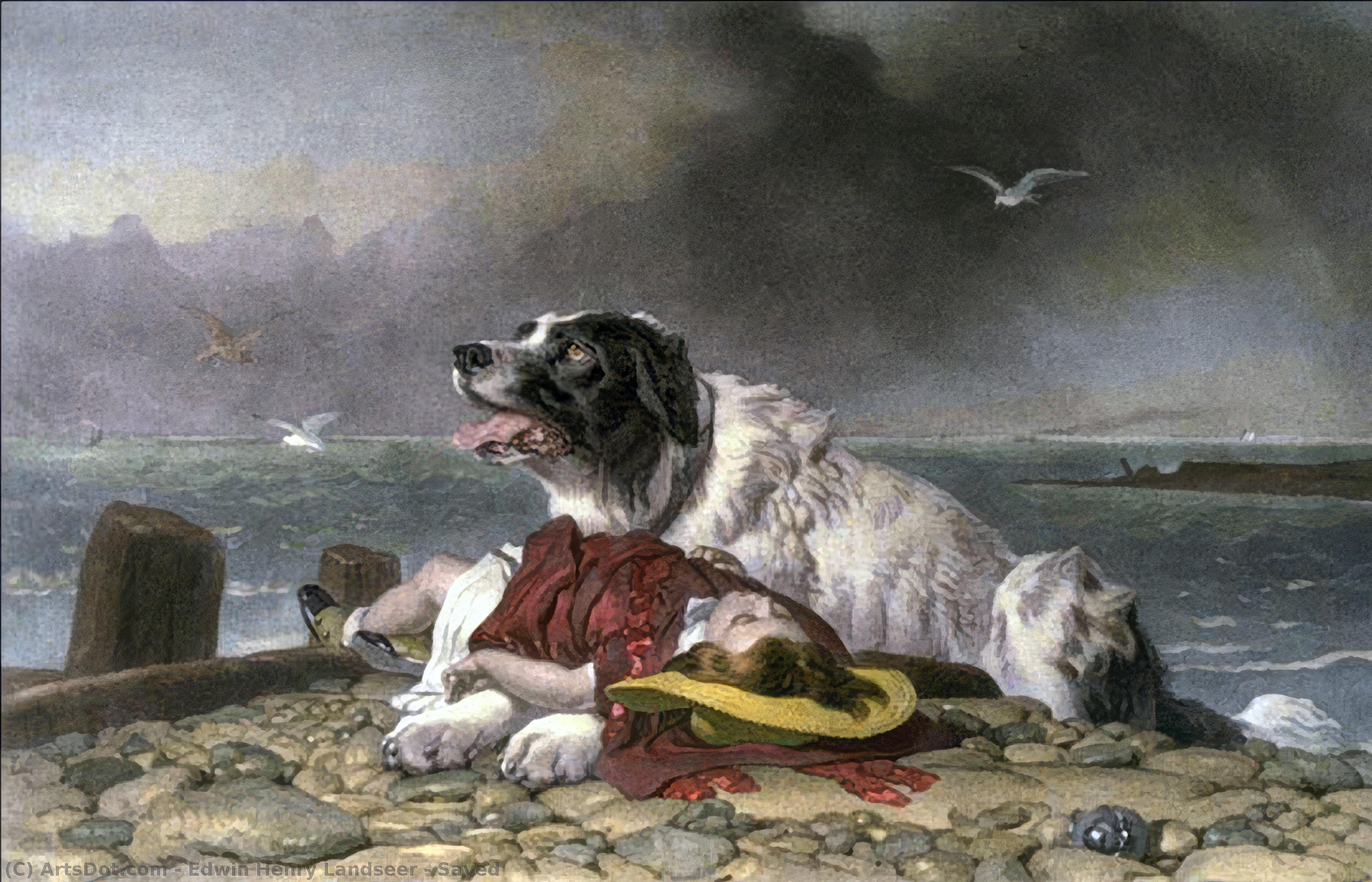 Saved — Sir Edwin Henry Landseer