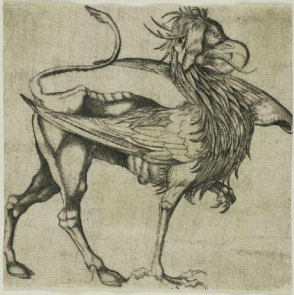 The Griffin — Martin Schongauer