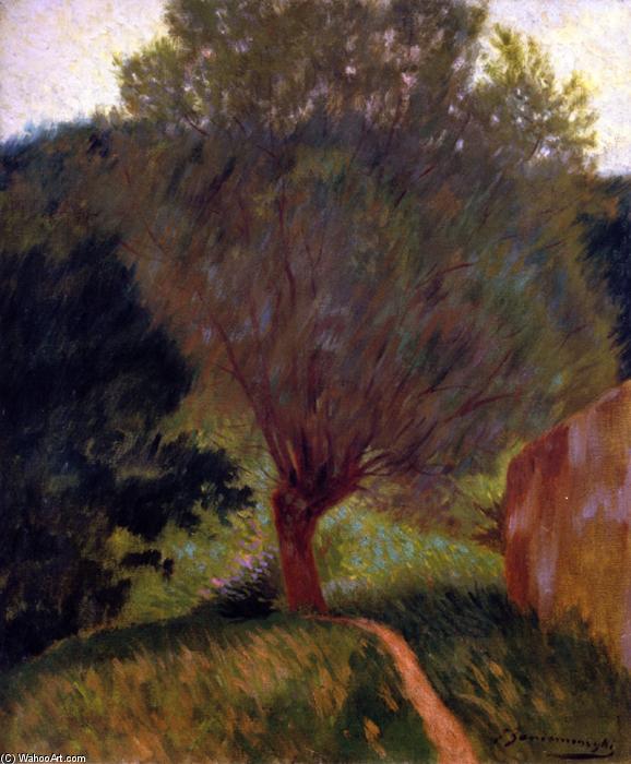 The Tree — Federico Zandomeneghi