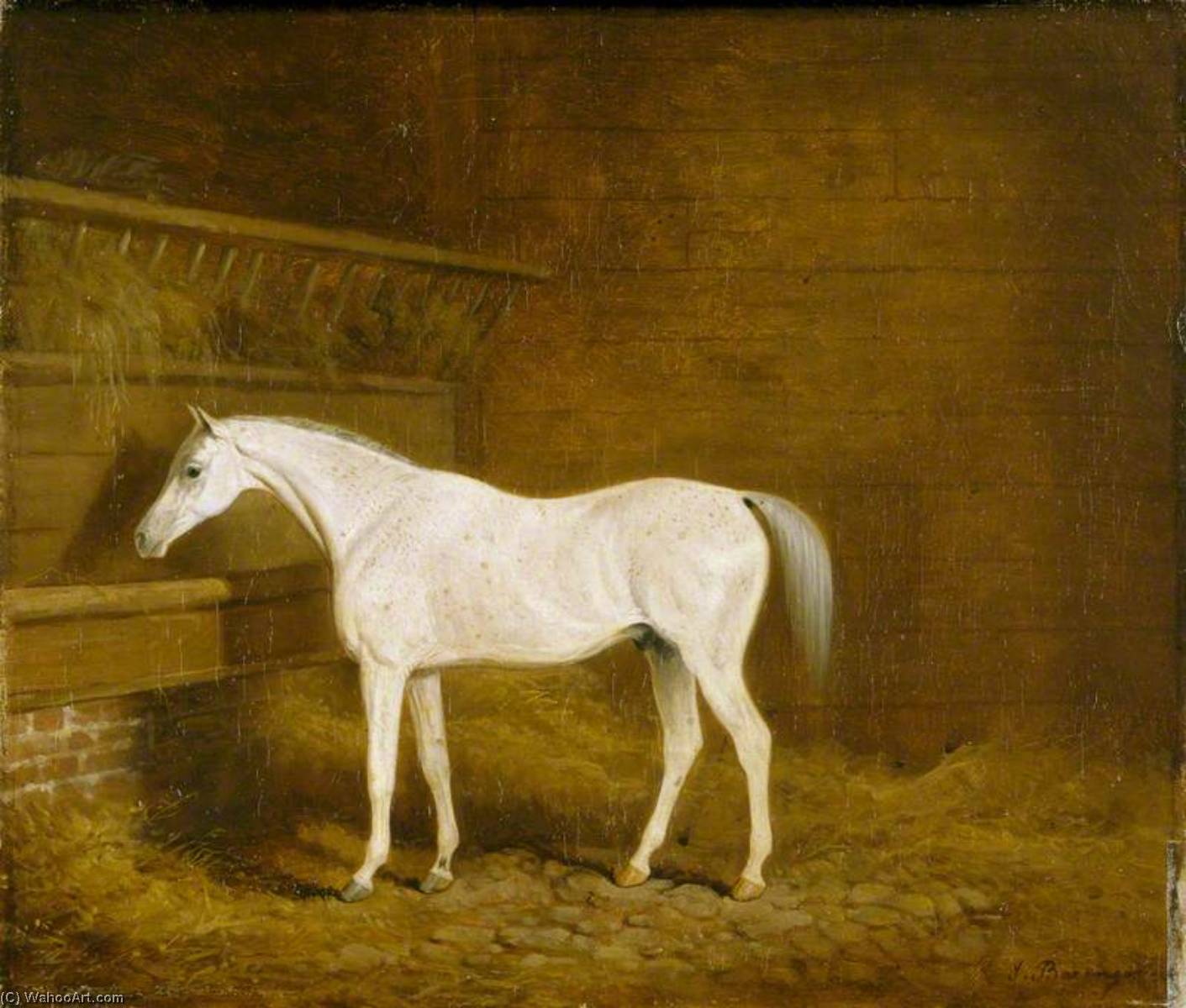 A Grey Racehorse In A Stable — James Barenger