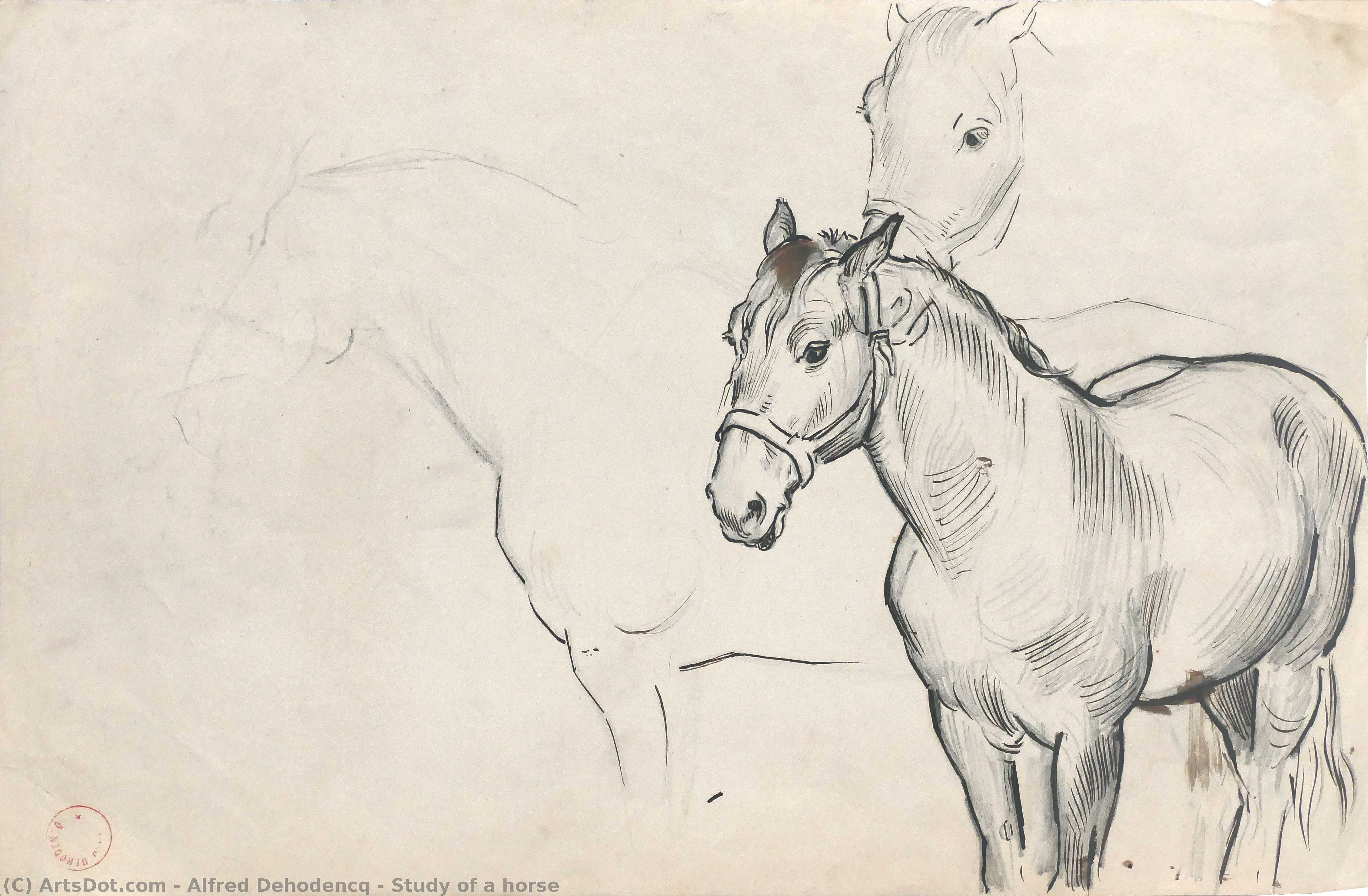 Study Of A Horse — Alfred Dehodencq