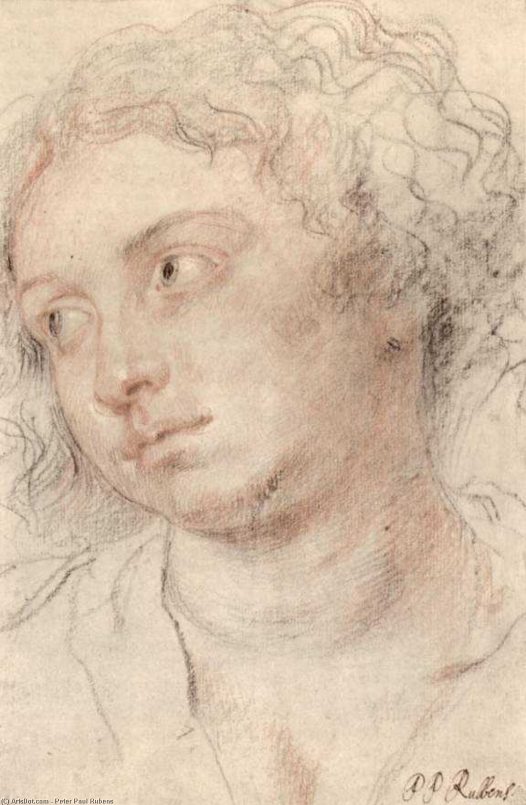 Head Of Woman — Peter Paul Rubens